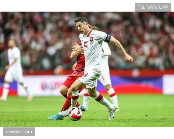 比利时国家队再战欧洲赛场，冲击巅峰荣耀引发高度关注