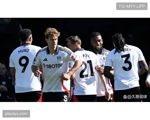 富勒姆夏窗引援动作频频,全力冲击英超新赛季 富勒姆夏窗引援动作频频,全力冲击英超新赛季